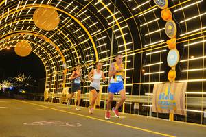 BIB: 
                            <button type="button" onclick="openModal(23495572)" class="btn btn-primary btn-sm float-right btn-popup" data-toggle="modal" data-target=".modal-high-quality">
                        <i class="fas fa-shopping-cart"></i> Add to Cart
                    </button>
                                            <button type="button" onclick="isThisMe(23495572, true)" class="btn btn-success btn-sm float-right btn-popup btn-isme hidden" data-toggle="tooltip" data-placement="bottom" title="นี่คือรูปของคุณใช่ไหม คลิกที่นี่เพื่อเอาเข้าอัลบั้ม">
                        <i class="fas fa-plus"></i> Add to album
                    </button>
                    <button type="button" onclick="isThisMe(23495572, false)" class="btn btn-warning btn-sm float-right btn-popup btn-isnotme hidden">
                        <i class="fas fa-ban"></i> Remove from album
                    </button>